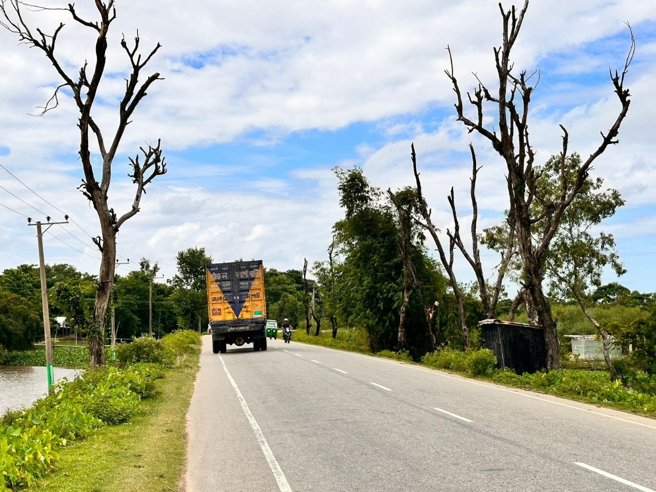 সুনামগঞ্জ সিলেট আঞ্চলিক সড়কের দুপাশে মরা গাছ, দুর্ঘটনার শঙ্কা