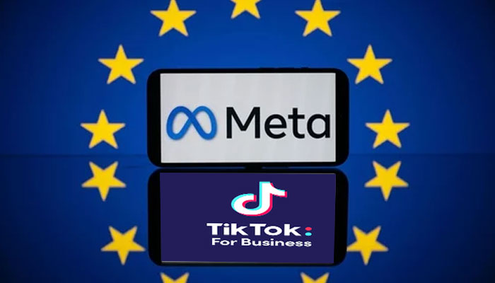 ভুয়া তথ্য সরাতে মেটা-টিকটককে সময় বেঁধে দিয়েছে ইইউ