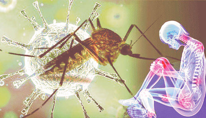 মশা থেকে যেসব রোগ ছড়ায়