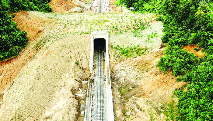 দোহাজারী-কক্সবাজার রেলপথ : দক্ষিণ এশিয়ার প্রথম এলিফ্যান্ট ওভারপাস দেখতে ভিড়