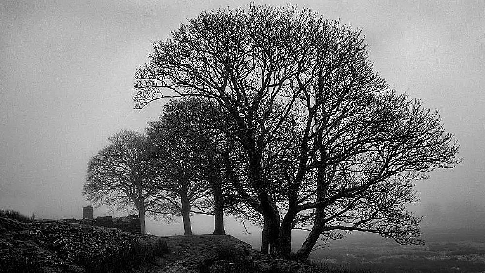 দেশের বিভিন্ন স্থানে বৃষ্টির আভাস