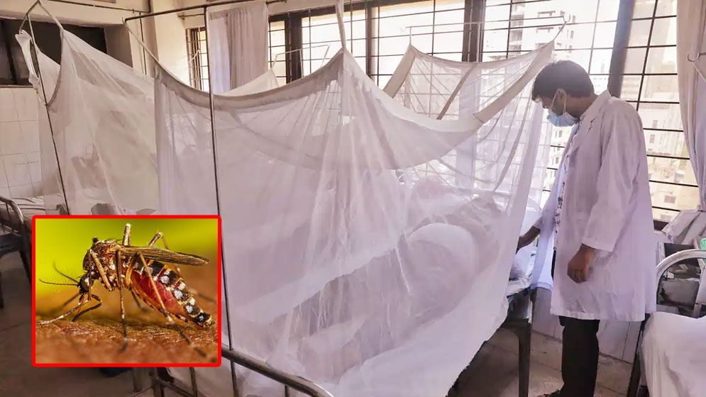 ২৪ ঘণ্টায় ডেঙ্গু নিয়ে হাসপাতালে আরো ৩১ রোগী