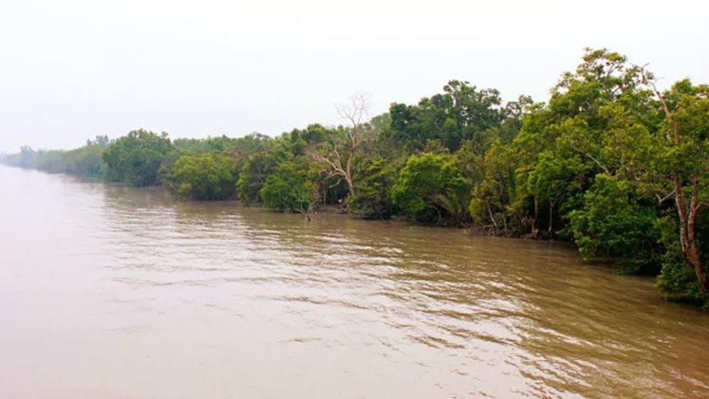 রেমালের তাণ্ডব: এবারো বুক চিতিয়ে দাঁড়াল সুন্দরবন