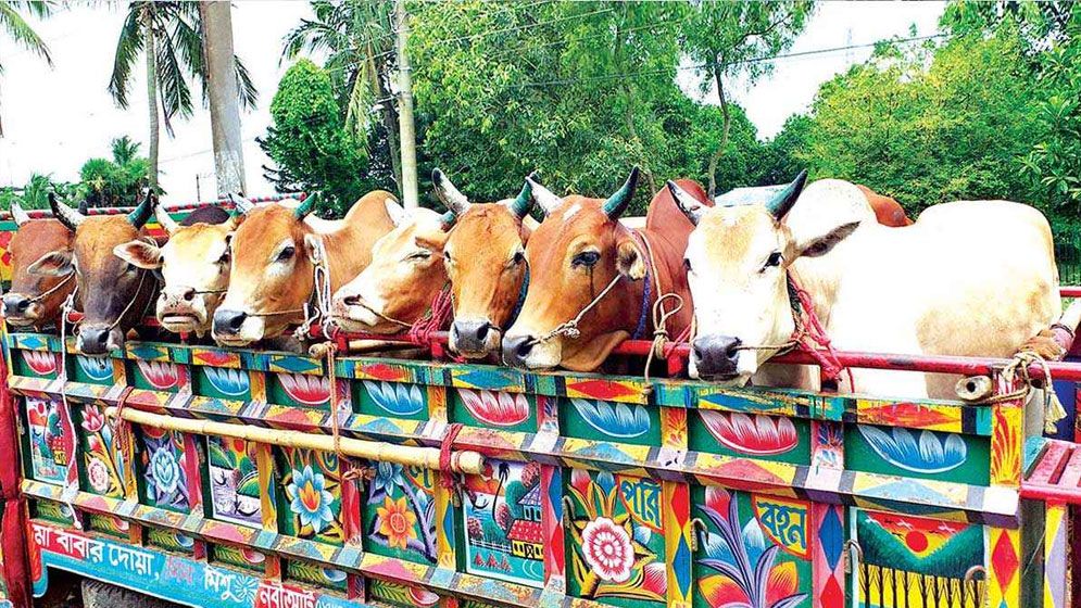 গরুবাহী গাড়িতে পুলিশের চাঁদাবাজি, বরখাস্ত ৫ সদস্য 