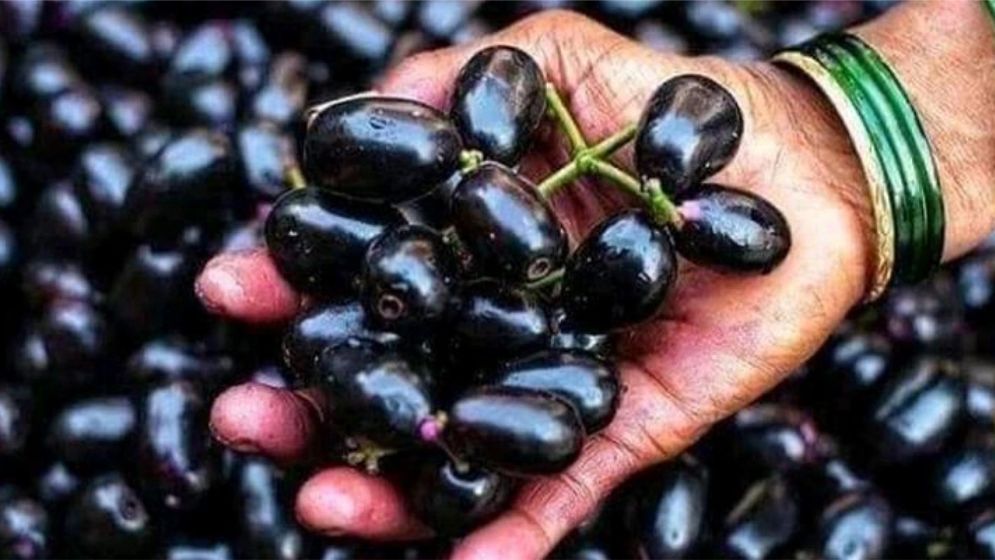 জামের সঙ্গে ভুলেও খাওয়া যাবে না যেসব খাবার