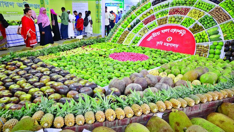 জাতীয় ফল মেলা শুরু হচ্ছে বৃহস্পতিবার 
