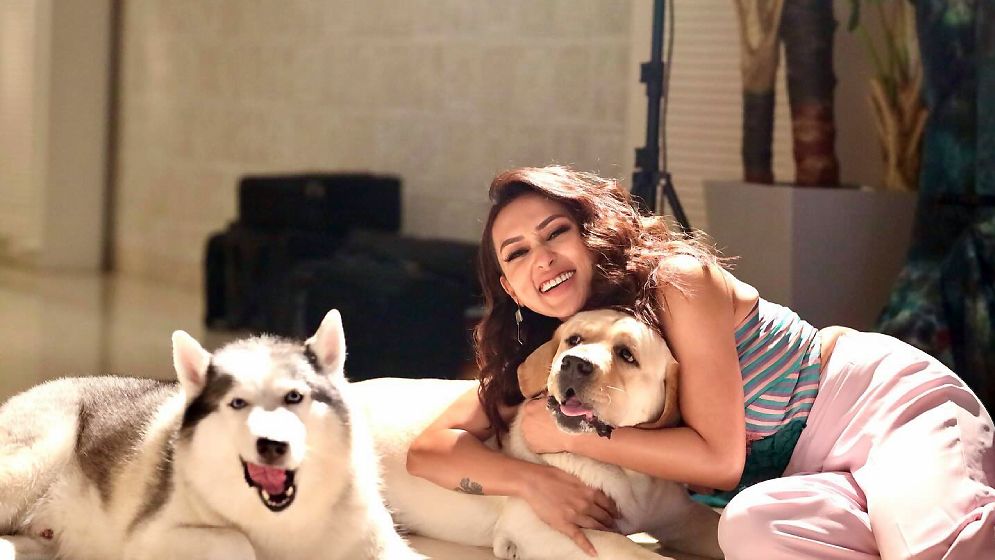 নিজের বাড়িতে ‘ক্ষতবিক্ষত’ হলেন শাকিবের নায়িকা