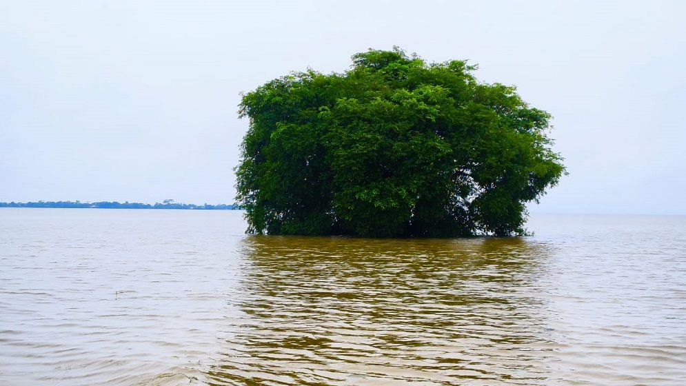 জুড়ীতে ভয়াবহ বন্যা; পানিতে ভাসছে গ্রামের পর গ্রাম