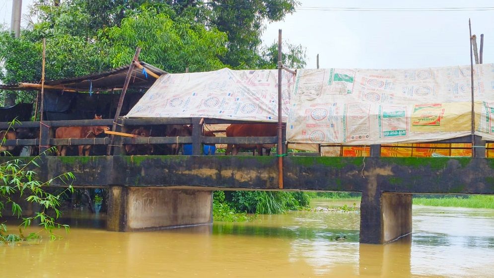 জুড়ীতে ভয়াবহ বন্যা; পানিতে ভাসছে গ্রামের পর গ্রাম