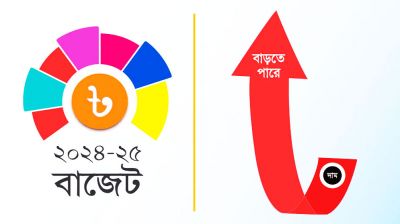 দাম বাড়বে যেসব পণ্যের