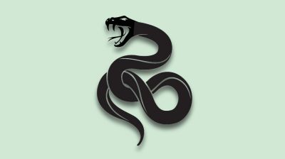রাসেলস ভাইপার ইস্যুতে যা বলল বন বিভাগ