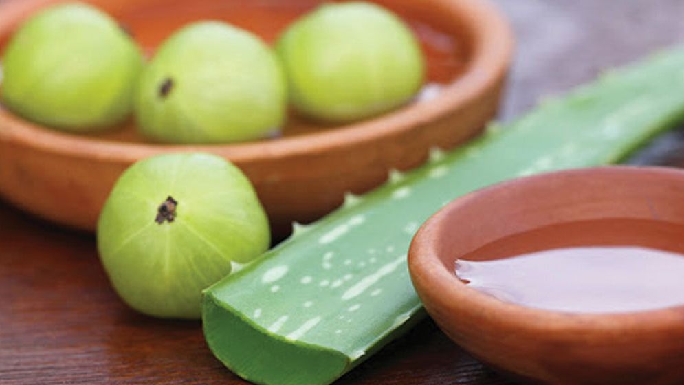 ভেষজের রস দিয়ে সকাল শুরু, দূরে থাকবে রোগবালাই