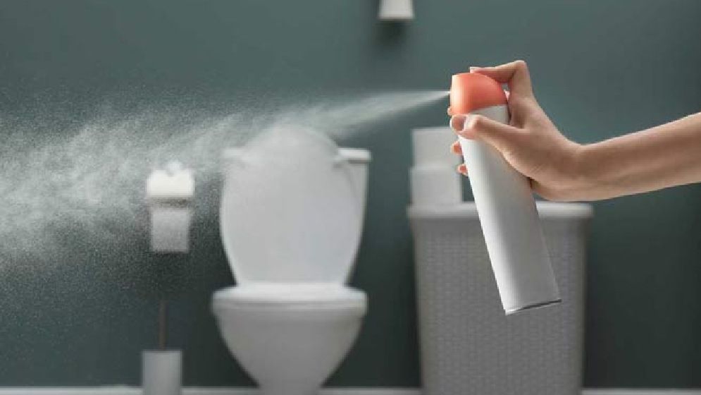 বাথরুমে ঢুকলেই বিশ্রী গন্ধ! কোন উপায়ে সমাধান?