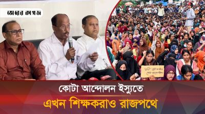 কোটা আন্দোলনের বিষয়ে যা বলছেন সাদা দলের শিক্ষকরা 