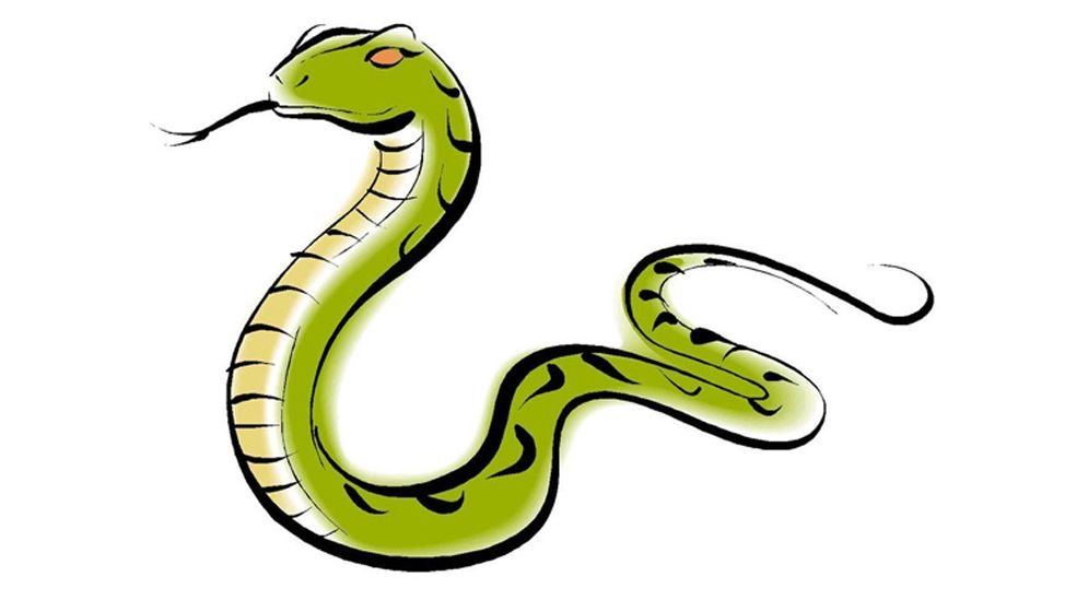 বেশির ভাগ মানুষেরই সাপ নিয়ে ভুল ধারণা 