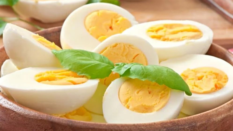 রোজ ডিম খাওয়া কি স্বাস্থ্যকর?