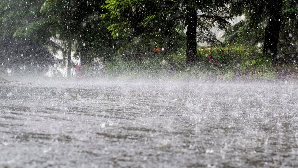 ২৪ ঘণ্টায় যশোরে বৃষ্টিপাতের রেকর্ড 