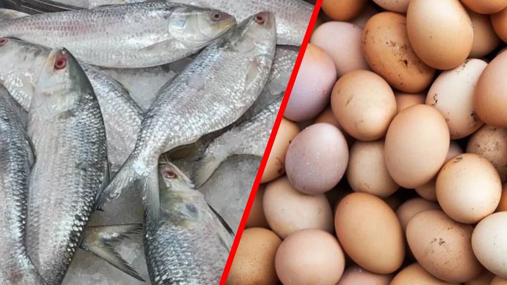 ভারত থেকে ডিম আমদানি হলেও বন্ধ থাকছে ইলিশ রপ্তানি