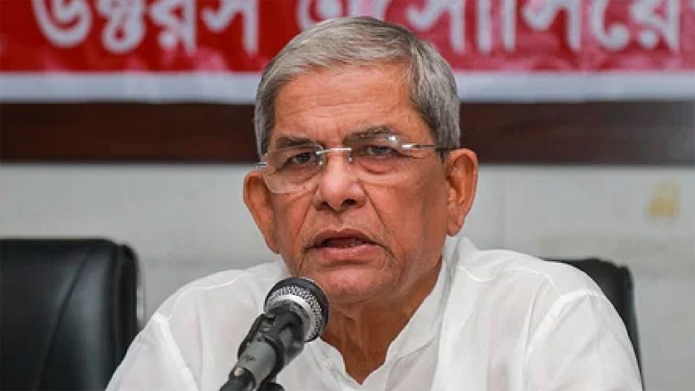 অন্তর্বর্তী সরকারকে নিয়ে যে মন্তব্য করলেন মির্জা ফখরুল