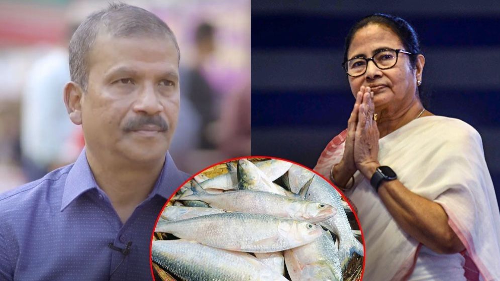 ইলিশ পাঠিয়ে মমতাকে কী রক্ষা করেছে ঢাকা? জবাব দিলেন আসিফ নজরুল