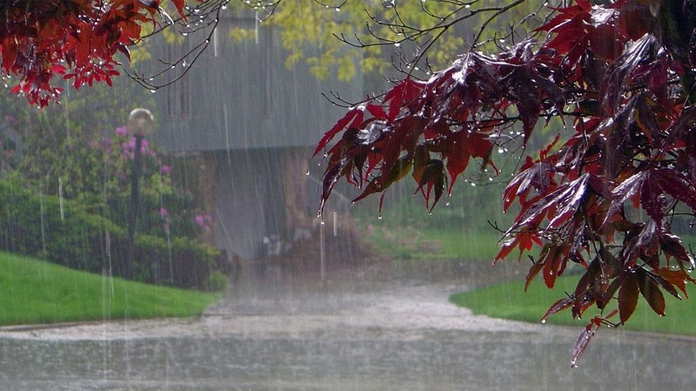 বঙ্গোপসাগরে আবার লঘুচাপ, টানা বৃষ্টির আভাস