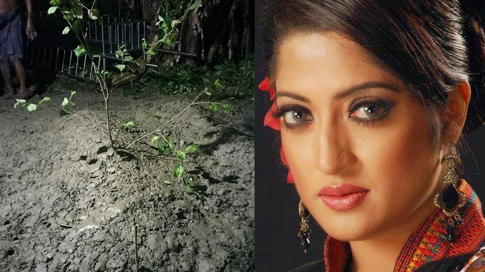 জানা গেল হুমায়রা হিমুর মৃত্যুর কারণ