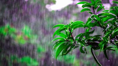 লঘুচাপ, বৃষ্টি ও তাপমাত্রা নিয়ে যে পূর্বাভাস দিলো আবহাওয়া অধিদপ্তর