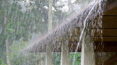 সাগরে নিম্নচাপের সম্ভাবনা, বৃষ্টি বেড়ে কমতে পারে গরম