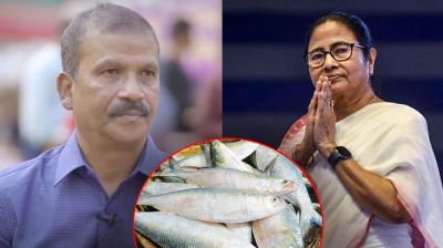 ইলিশ পাঠিয়ে মমতাকে কী রক্ষা করেছে ঢাকা? জবাব দিলেন আসিফ নজরুল