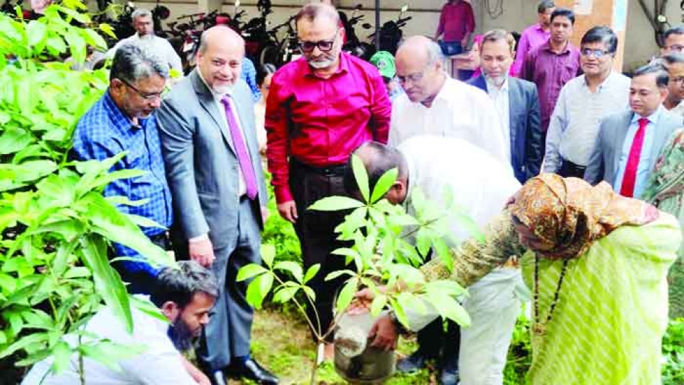 পূবালী ব্যাংকের  উদ্যোগে ঢাবিতে  বৃক্ষরোপণ 