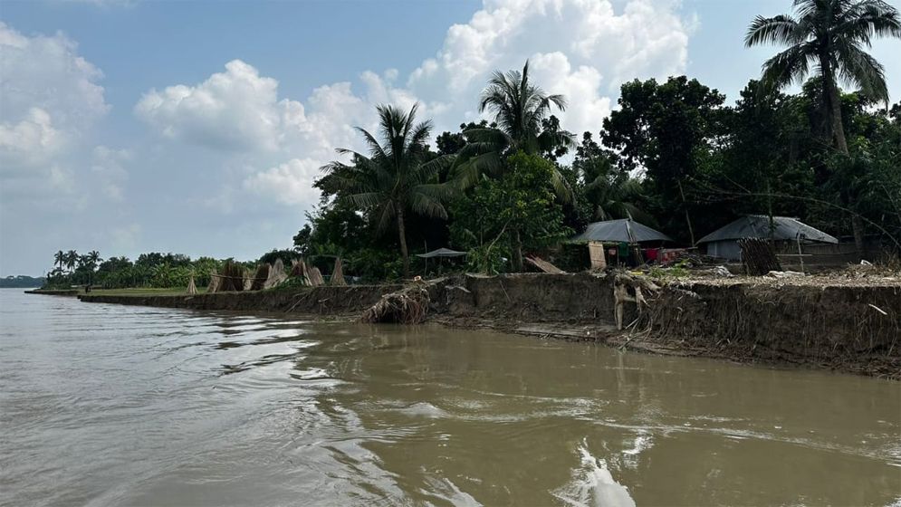 মধুমতির ভয়াবহ ভাঙনে শতাধিক ঘরবাড়ি ও ফসলি জমি বিলীন