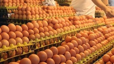 সাড়ে ৪ কোটি ডিম আমদানির অনুমতি