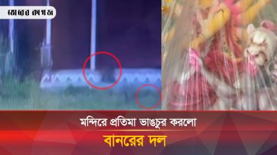 এবার মন্দিরে প্রতিমা ভাঙচুর করলো বানর