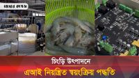 চিংড়ি উৎপাদনে এবার এআই নিয়ন্ত্রিত স্বয়ংক্রিয় পদ্ধতি, যা কল্পনাকেও হার মানায় 