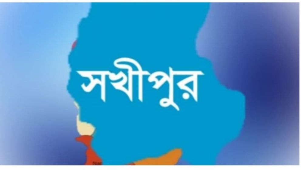 সখীপুরে সড়ক দুর্ঘটনায় নিহত ১