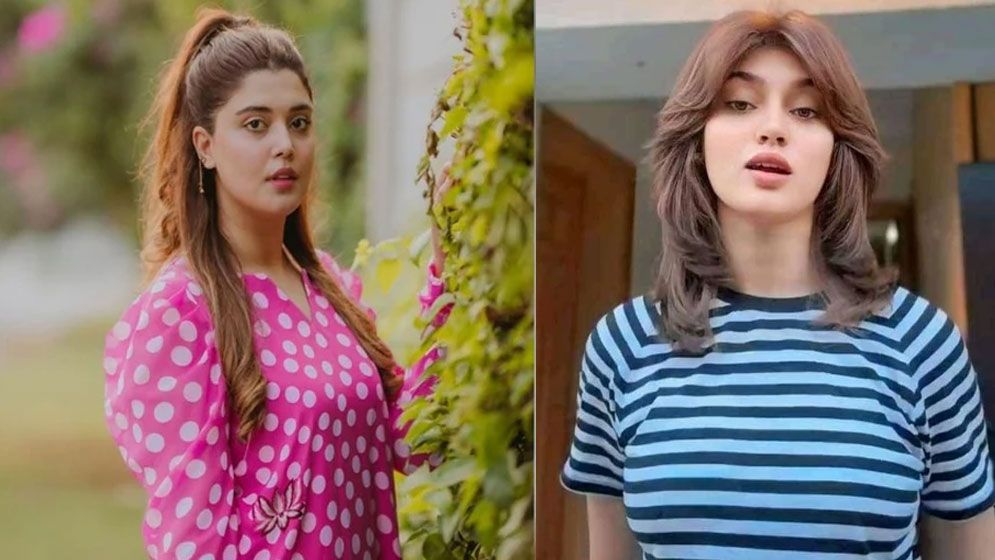 পাকিস্তানি টিকটক তারকার ব্যক্তিগত ভিডিও ভাইরাল