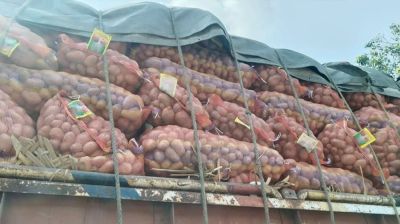 ভারত থেকে এলো ৪৬৮ টন আলু, কমতে পারে দাম