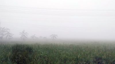 কুয়াশার চাদরে ঢাকা রাজধানী থেকে উত্তরাঞ্চল