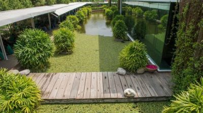 সবুজ কারখানার স্বীকৃতি পেলো আরো ২ প্রতিষ্ঠান