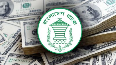 ডলারের দামে অস্থিরতার কারণ জানা‌ল কেন্দ্রীয় ব্যাংক