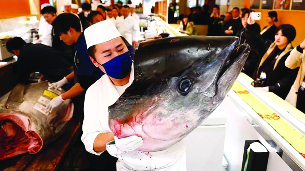 ১৩ লাখ ডলারের টুনা ফিস! 