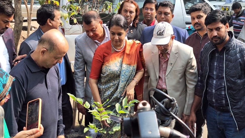 বিষমুক্ত নিরাপদ খাদ্যের জন্য ছাদ বাগান প্রয়োজন: পরিবেশ উপদেষ্টা