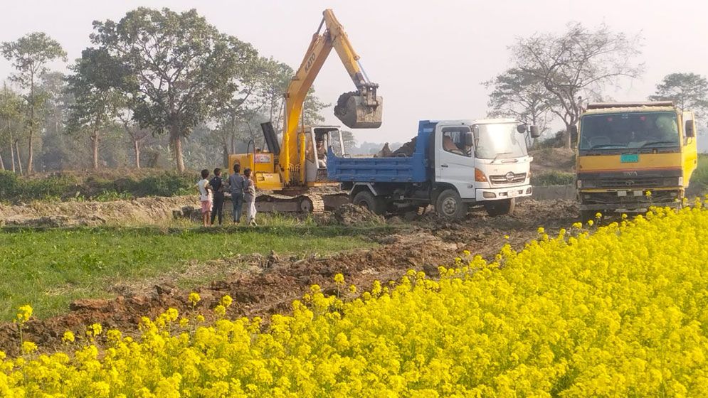 সিংগাইরে ফসলি জমি থেকে মাটি বিক্রির প্রতিযোগিতা, নিরব প্রশাসন