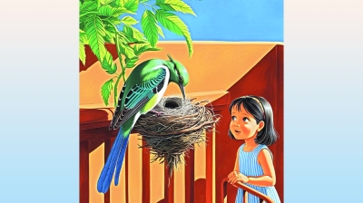 বিনুদের বাড়িতে বুলবুলির বাসা 