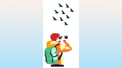 শীতপাখিদের ছড়া