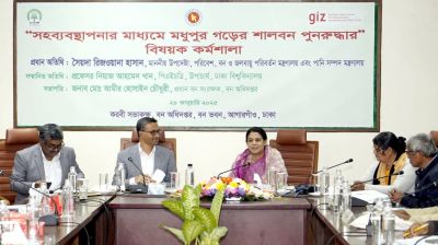 মার্চ থেকে টাঙ্গাইলের শালবন উদ্ধার কার্যক্রম শুরু : পরিবেশ উপদেষ্টা