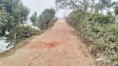 মেঘনায় তুলাতুলীর রাস্তার বেহাল দশা, ভোগান্তি চরমে