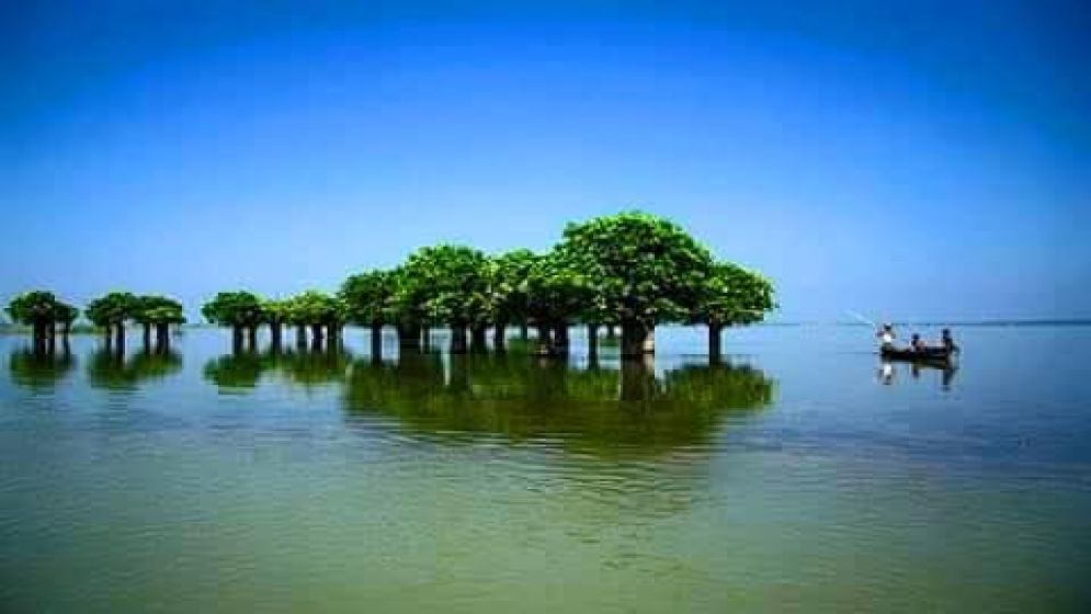 জলাভূমি হোক 'জীবন্ত সত্তা'