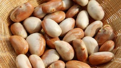 কাঁঠালের বিচির জাদুকরী স্বাস্থ্য উপকারিতা