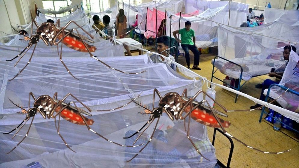 চোখ রাঙাচ্ছে ডেঙ্গু, ঝুঁকি কমাতে কী কী ব্যবস্থা নেবেন